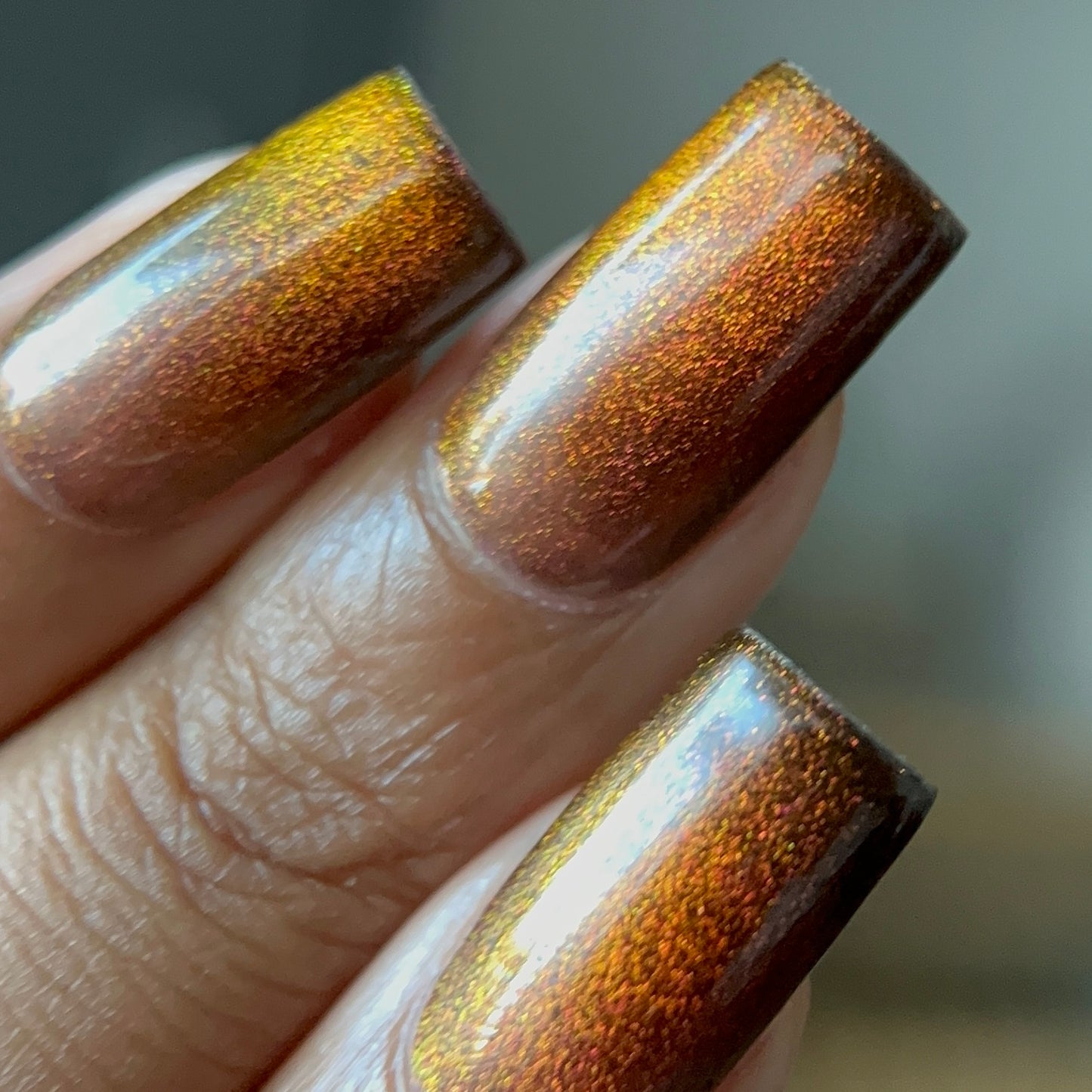 Campfire Chestnut